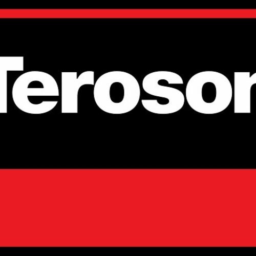 Teroson SI 65 cartridge Silicone sealant red 570ml